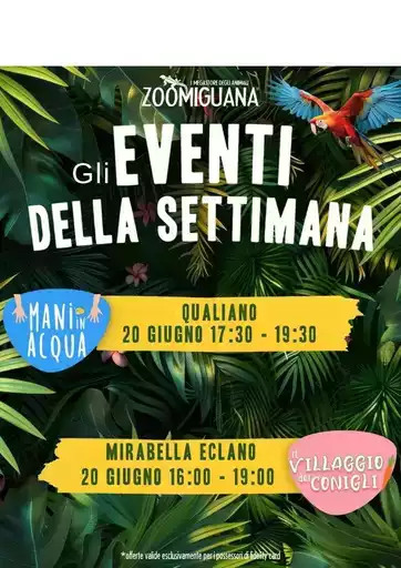 Offerte Zoomiguana Offerte Zoomiguana
