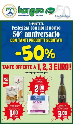 Volantino Kanguro