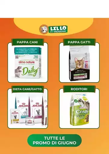 Offerte Lillo e i vagabondi