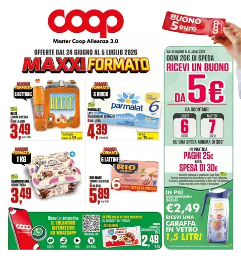 Maxxi formato