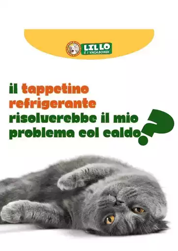 Offerte Lillo e i vagabondi