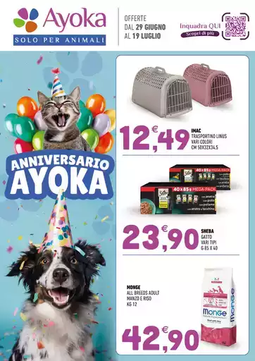 Anniversario ayoka