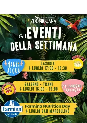 Offerte Zoomiguana Offerte Zoomiguana