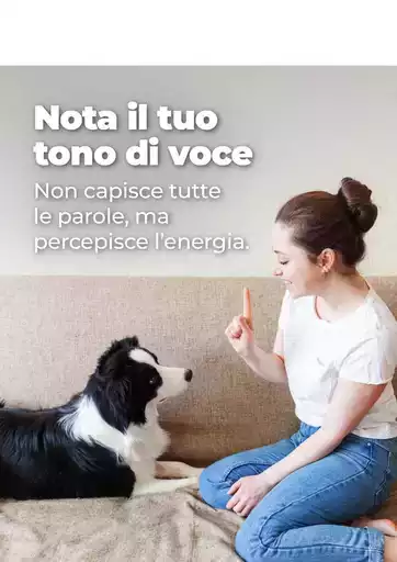 Le nostre migliori offerte per te Le nostre migliori offerte per te