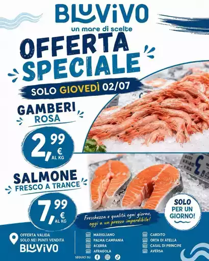 Offerte speciale Offerte speciale