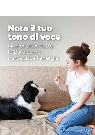 Le migliori offerte per gli acquirenti parsimoniosi