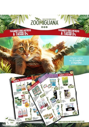Offerte Zoomiguana