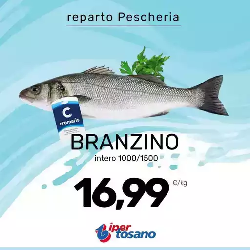 Offerte Offerte