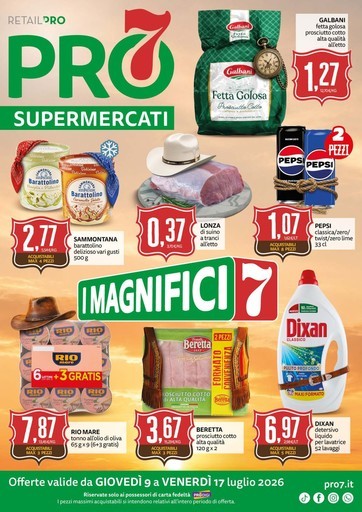 I magnifici 7
