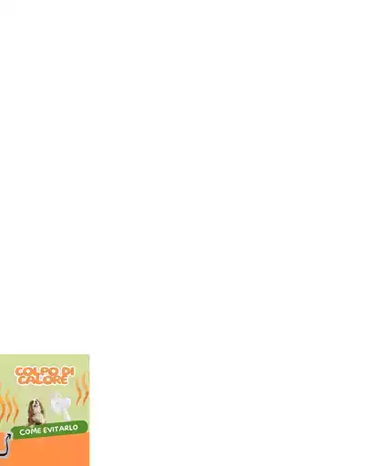 Offerte Zoolandia Family Offerte Zoolandia Family