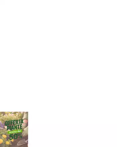 Offerta piante sconto del 50% Offerta piante sconto del 50%